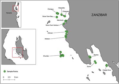 Seagrass Structural Traits Drive Fish Assemblages in Small-Scale Fisheries